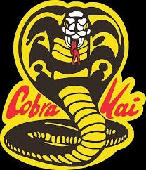 Cobra Kai Cast  Karate kid cobra kai, Cobra kai dojo, Kid cobra